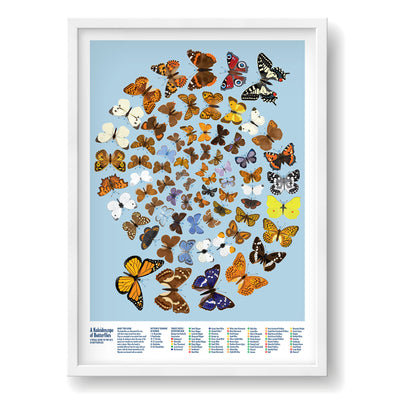 Kaleidoscope of butterflies print light blue