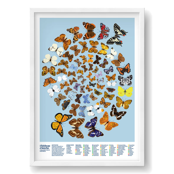 Kaleidoscope of butterflies print light blue