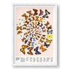 A Kaleidoscope of Butterflies Print